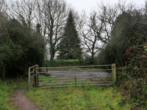 Closer view from the gate to the track on the application site on Hampton Road, roughly opposite Grimshaw Hall, looking towards it. Grimshaw Hall is not visible from here
