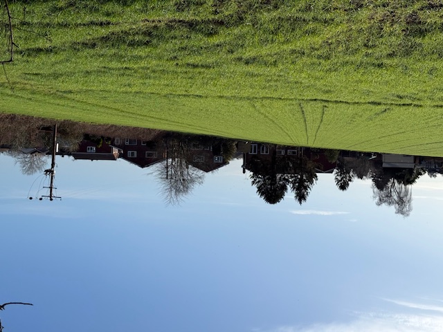 View from site looking towards Chantry Heath Crescent