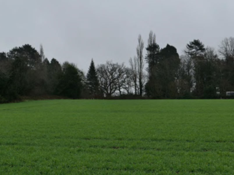 View of Grimshaw Hall from centre of site