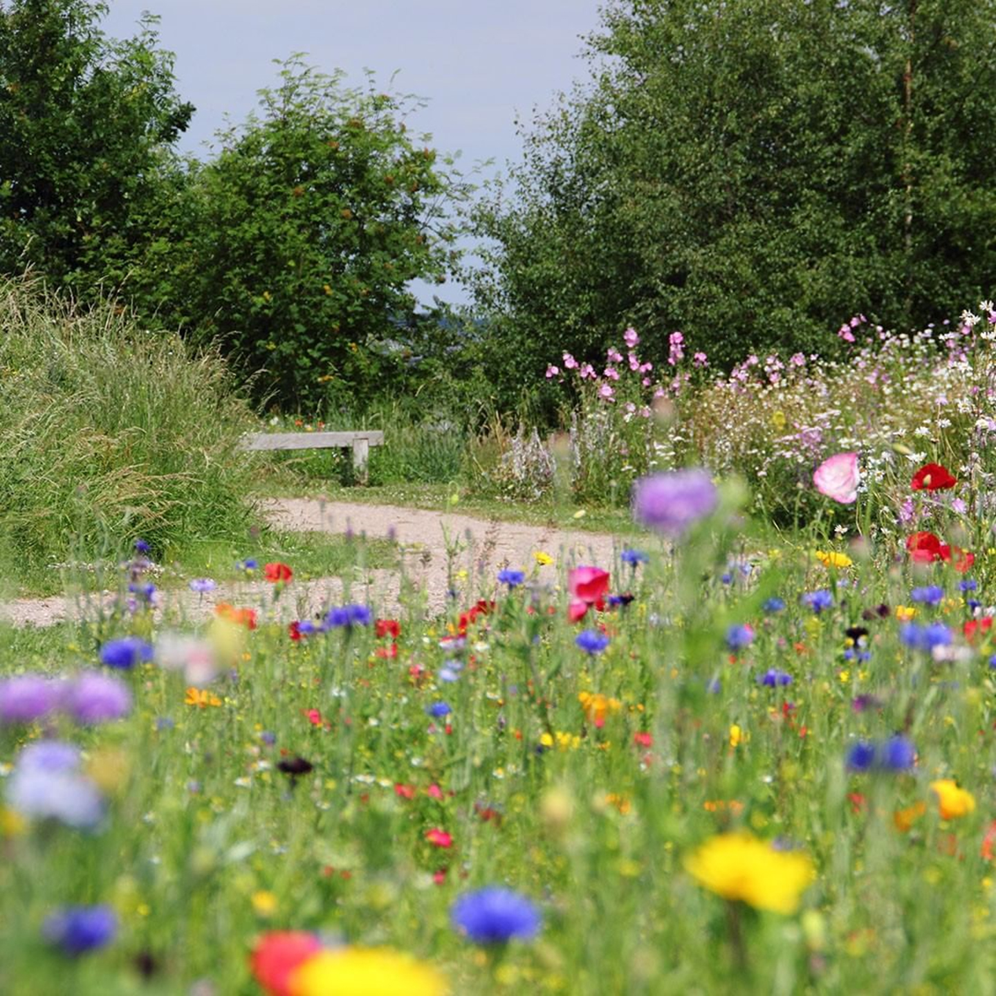Green Infrastructure